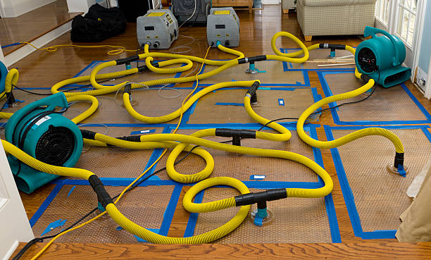 Professional Crawl Space Water Removal technician working in Poynor, TX
